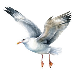 Seagull, Bird Illustration. Watercolor Style. AI Generated