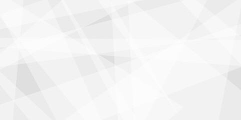 Abstract background with white and gray and geometric style with simple lines and corners, polygons as background geometric style with simple lines and corners, polygons as background paper texture	
