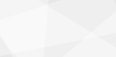 Abstract background with white and gray and geometric style with simple lines and corners, polygons as background geometric style with simple lines and corners, polygons as background paper texture	
