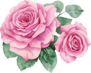 bouquet of roses