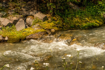 Fototapeta premium Roadside creek Banff Windermer HWY Kootenay National Park British Columbia Canada