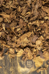 a cigar broken into tobacco leaves on the table