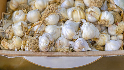 Bunch of Dried Garlic Spice in Box at Farmers Market