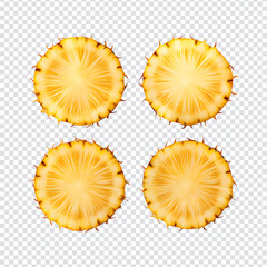 Ripe Pineapple Slice isolated on a transparent background
