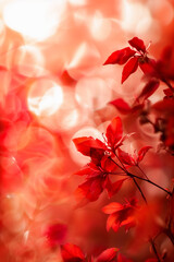 A close-up of vibrant red leaves against a soft, bokeh background, creating a warm and dreamy atmosphere with delicate, glowing light.