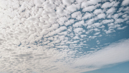 Fototapeta premium 青空 白い雲 晴天 自然 爽やか 自由 希望 穏やか 広がり 無限 背景 