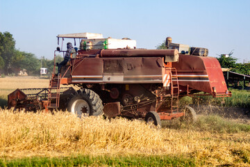 a wheat cutting machine swiftly harvesting a field of wheat