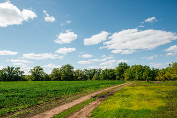 a country road in a field of green grass at sunset