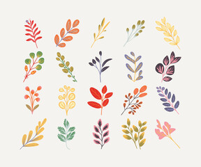 Colorful Hand-Drawn Botanical Elements Stock Vector