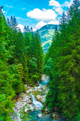 Mountain Stream in the Tatra Mountains, Poland