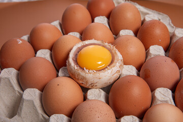 fungus, gourmet, cut out, isolated, clipping path, mushroom, white background, edible, cultivation, vegetable, delicious, brown, piece, nutrition, medicinal mushroom, asian, traditional medicine, miso