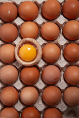 fungus, gourmet, cut out, isolated, clipping path, mushroom, white background, edible, cultivation, vegetable, delicious, brown, piece, nutrition, medicinal mushroom, asian, traditional medicine, miso