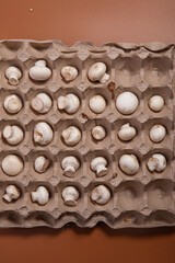 fungus, gourmet, cut out, isolated, clipping path, mushroom, white background, edible, cultivation, vegetable, delicious, brown, piece, nutrition, medicinal mushroom, asian, traditional medicine, miso