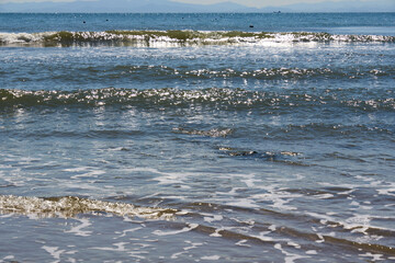 【南知多】キラキラ光りながら打ち寄せる波