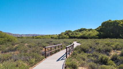 Boardwalk Marsh Trail path at Big Morongo Canyon Preserve in Morongo Valley, California