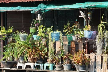 collage of a garden in the garden