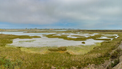 La Réserve naturelle nationale de Lilleau des Niges, Ile de Ré