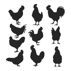 CHICKEN SILHOUETTE BUNDLE VECTOR DESIGN.