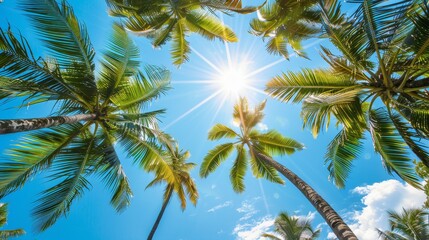 Naklejka premium Bottom view of a coconut tree canopy framing a vibrant blue sky, sun rays piercing through leaves, tropical paradise vibes