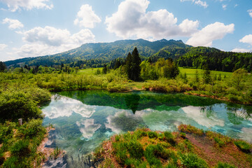 Nature Reserve Zelenci, krajnska gora, Slovenia, Europe. Wonderful morning view of Zelenci nature...