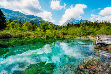 Nature Reserve Zelenci, krajnska gora, Slovenia, Europe. Wonderful morning view of Zelenci nature reserve. Slovenia travel.