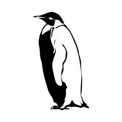 Fototapeta premium Penguin Black and white Vector silhouette isolated on white background. Minimalistic design