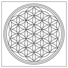 Radiesthesic graphics - radiesthesia