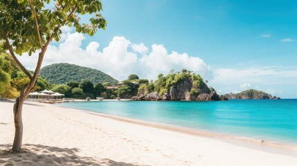 Fototapeta premium Sun-kissed beach with turquoise waters