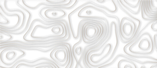 Abstract topographic contours 3d map background .topographic line texture background .monochrome image .stylized height of the topographic map contour in lines.	