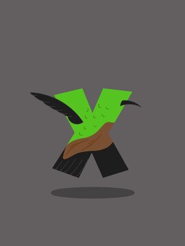 Letter X, xantus, Vactor graphics in flat cartoon style, alphabet animals, animals fonts.