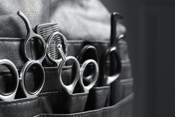 Hairdresser tools. Professional scissors and combs in leather organizer on blurred background,...