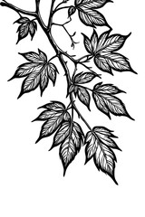 Leaves . Black and white botanical pattern. For use in graphics, materials. Abstract plant shapes. Minimalist illustration for printing on wall decorations. Generated by Ai