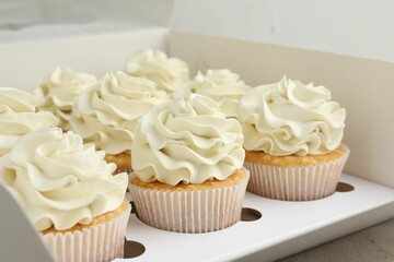 Tasty cupcakes with vanilla cream in box, closeup