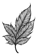 Leaves . Black and white botanical pattern. For use in graphics, materials. Abstract plant shapes. Minimalist illustration for printing on wall decorations. Generated by Ai