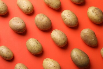 Many fresh potatoes on red background, flat lay