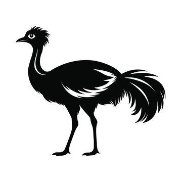 recommend clip art: silhouette of a rhea bird