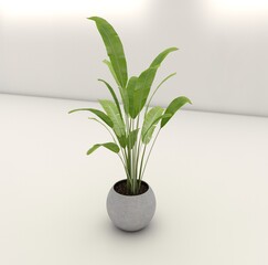 White Concrete pot minimal style. Close-up green succulent plant in modern round concrete planter on white background.