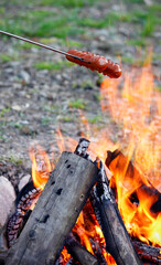Roasting sausages skewered on a grill fork over an open campfire in the evening. Grilling sausages for dinner at camping or in the garden. Summer camping in the countryside.