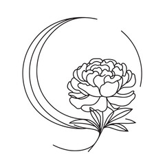 peonies in one line on a white background. botanist flowers. flora aesthetic flowers in one line