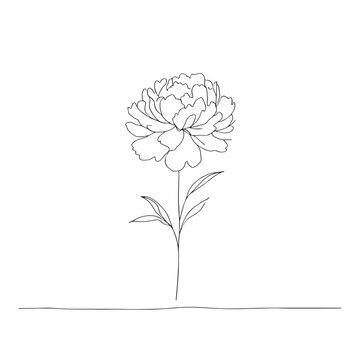 recommend clip art:  peony in one line art drawing style. Vector illustration