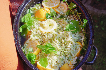 Holunderblütensirup Holunderblüten Holunderblütenansatz