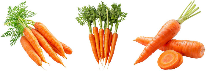 Bunch of carrots bundle isolated on a white background