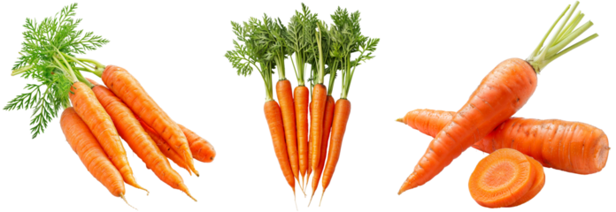 Bunch of carrots bundle isolated on a white background