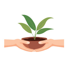 Two hands holding a young green plant in a pot, giving small plant, handover of plant seeds, flat vector illlustration isolated on white background