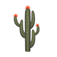 Cactus vector art, cactus tree flower vector isolated
