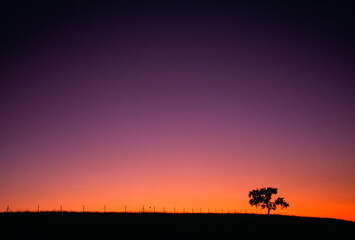 Silhouetted Landscape