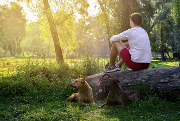 rest in the forest with dogs