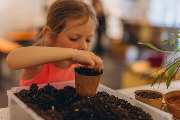 Girl planting seeds for seedlings in small recyclable peat pots, seedling container.Children learn...