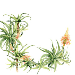 A green aloe plant semi-circular frame.