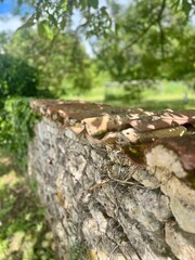 Saint-André-de-Lidon